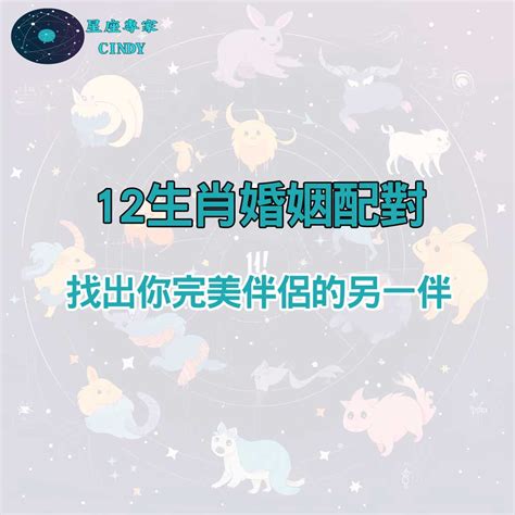 生肖狗配對|完美配對：12生肖婚姻配對